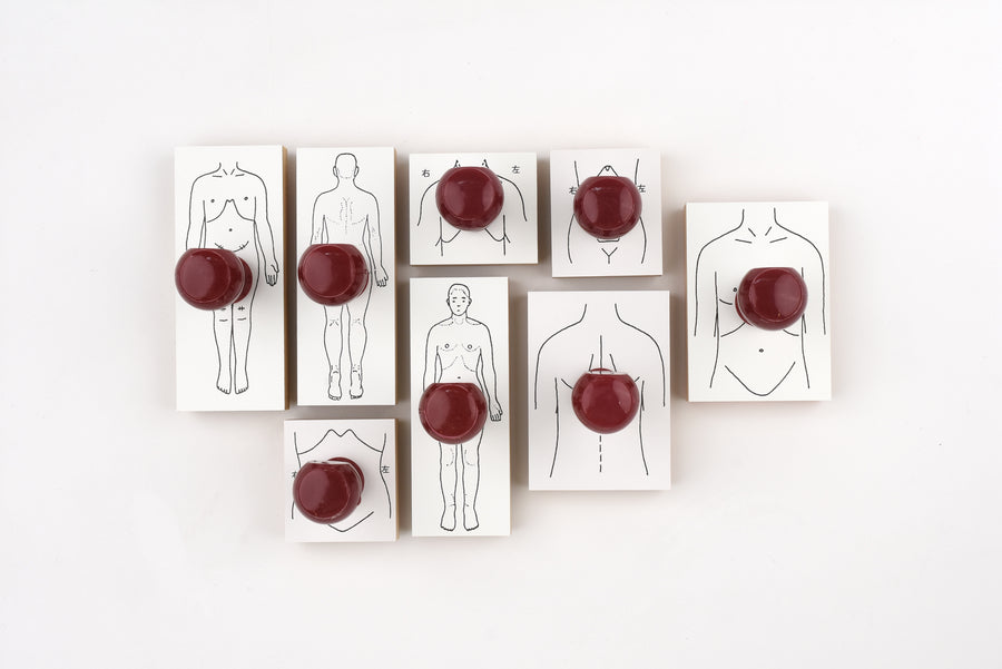 Sanby Human Body Diagram Rubber Stamps