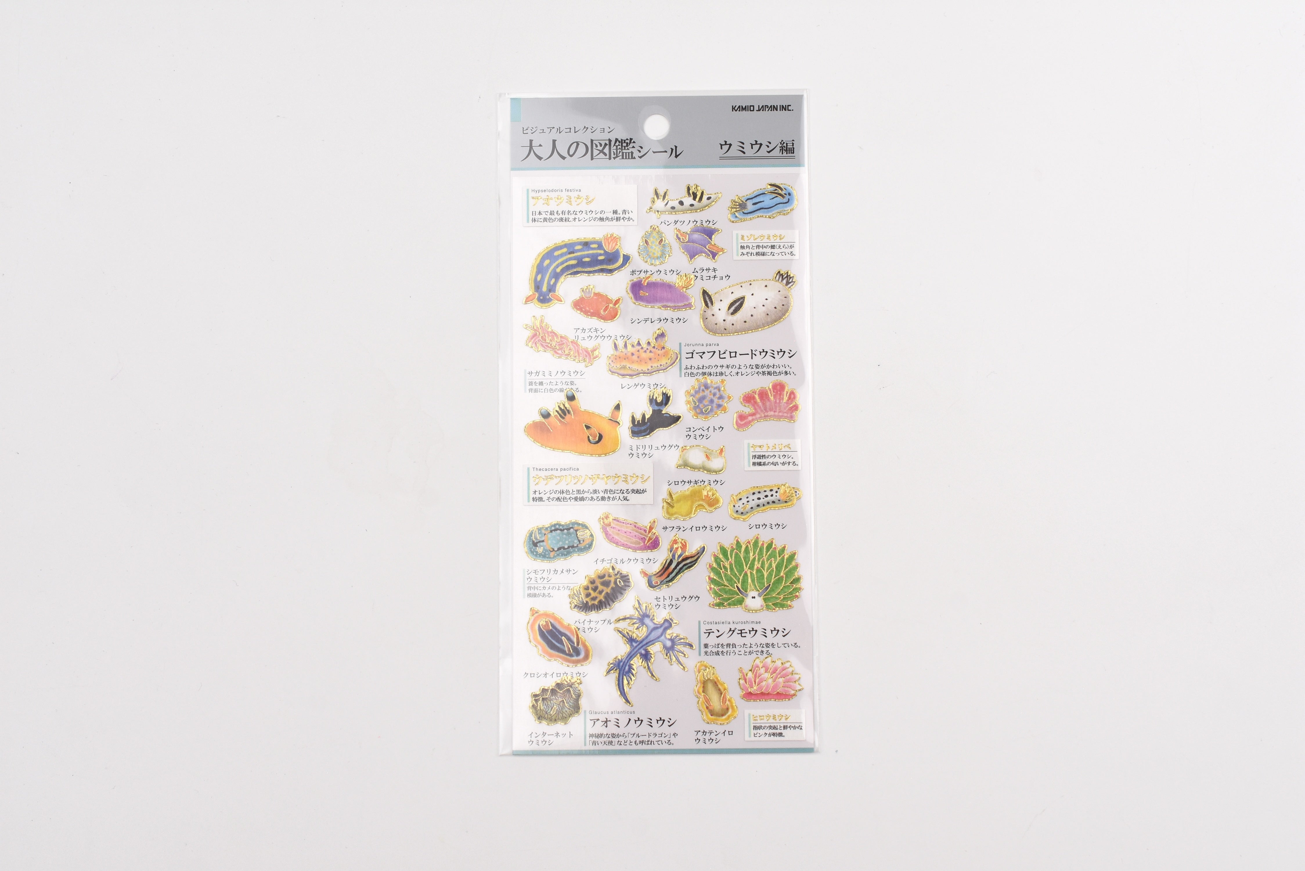 Kamio Adult Illustrated Picture Book Stickers - Sea Urchin