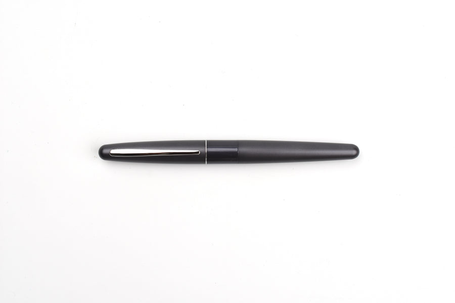 Pilot Cocoon Fountain Pen - Metallic Gray