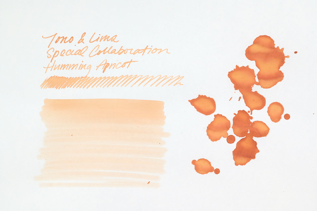 Tono & Lims Ink Bottle - Special Collaboration - Humming Apricot (はなうたのアプリコット) - 30ml