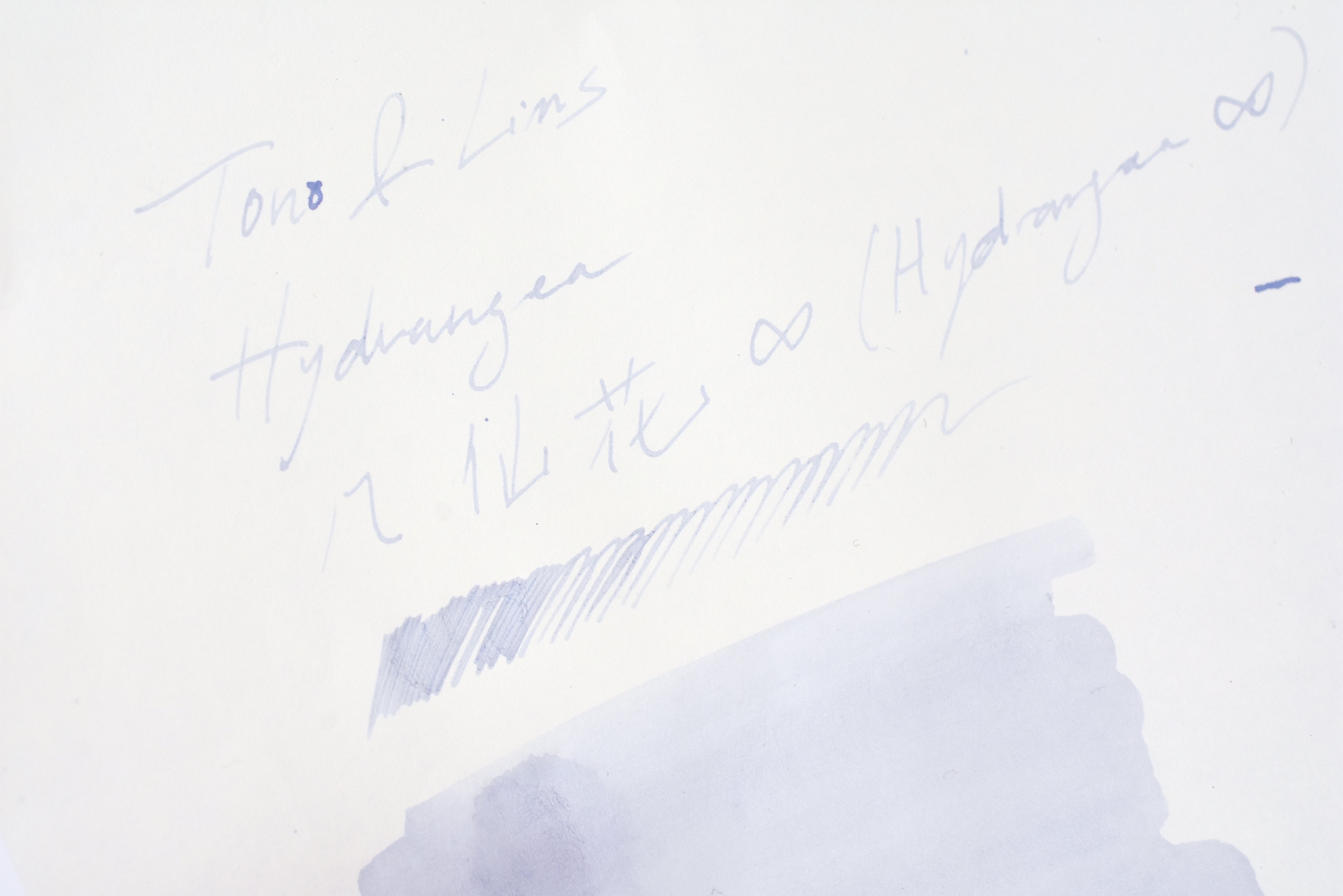 Tono & Lims Ink Bottle - Hydrangea - 八仙花 ∞ (Hydrangea ∞) - 15ml