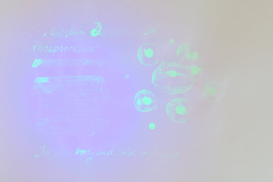 J. Herbin - Decorative Ink - Phosphorescent
