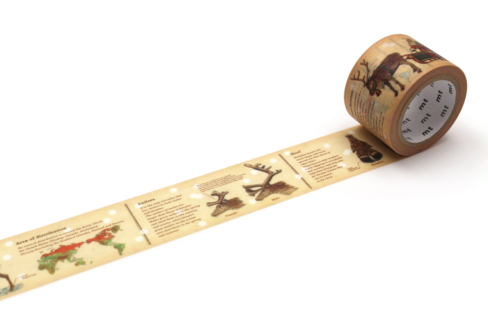 mt Washi Tape - Encyclopedia Reindeer