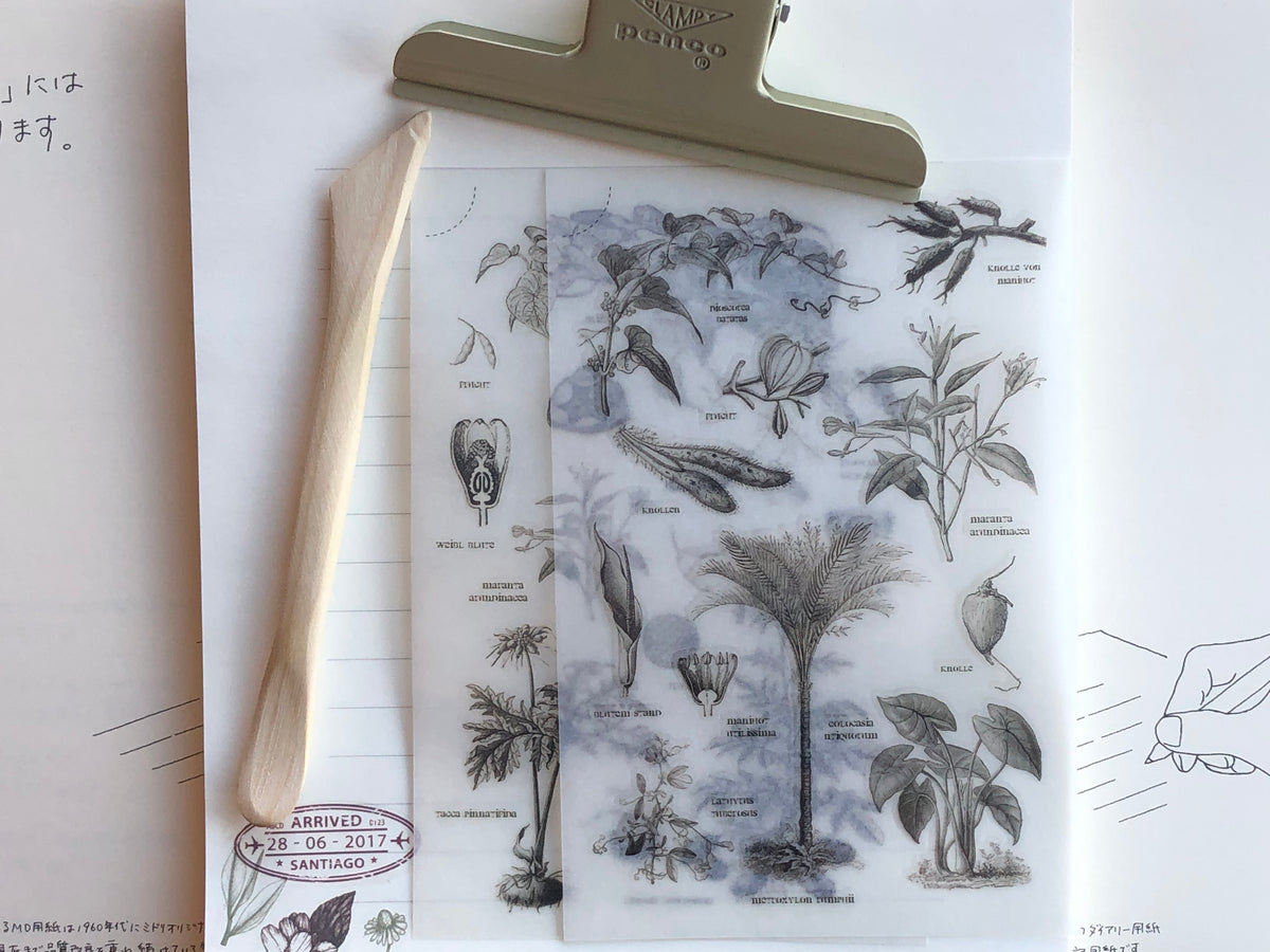 MU Print-On Stickers - Plant Specimens - #29